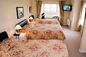Family Room Brookhaven Guesthouse 