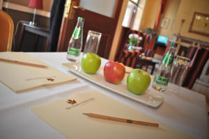 Maples House Hotel - Meeting room