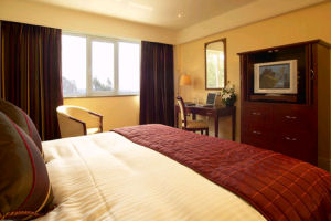 The Regency Hotel and Leisure Centre - Superior Double Room