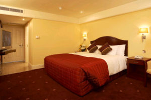 Standard Bedroom at the Regency