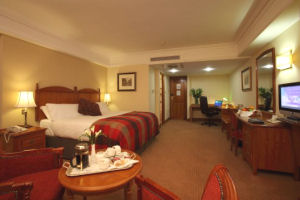 New Suite
