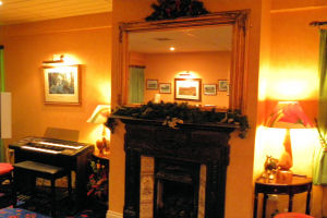 Harbour View Hotel - Fireplace