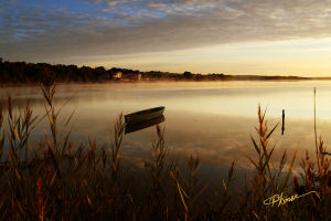 Ferrycarrig Hotel at dusk