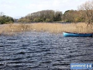 Boat Tours from Ross Castle