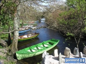 Boat Tours from Ross Castle
