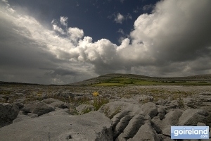 The Burren National Park