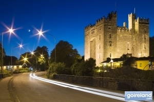 Bunratty Castle And Folk Park