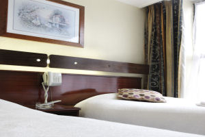 Ashley Hotel - Twin ensuite
