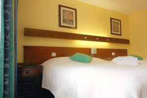 Ashley Hotel - Twin room