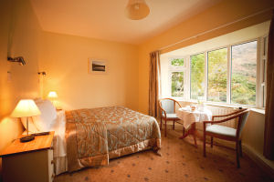 Gougane Barra Hotel - Double room image 1