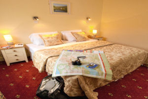 Gougane Barra Hotel - Double room image 3