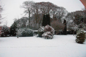 Castleview Farm - Garden in the snow _1