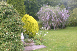 Castleview farm garden 
