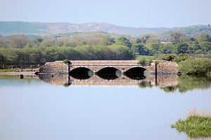 bridge