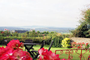 garden two 