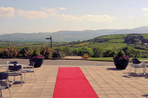 red carpet view 