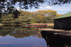 Boat trip, Killarney Avenue