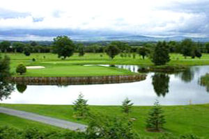 Golfing, Killarney Avenue
