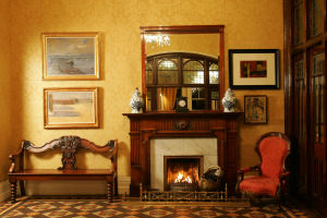 Parknasilla Fireplace