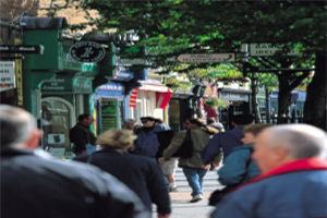 Shopping, Killarney Avenue