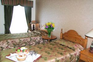 Towers Hotel Twin room