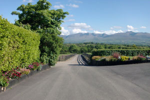 Dromin Farmhouse - Driveway