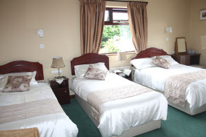 Dromin Farmhouse - Triple room