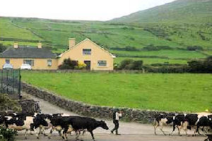 Garveys Farmhouse - Exterior