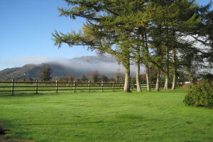 Salmon Leap Farm - Autumn time