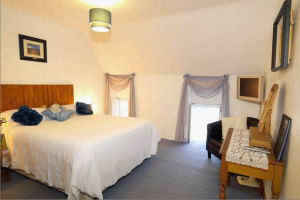 Salmon Leap Farm - Double room