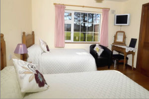 Salmon Leap Farm - Twin room