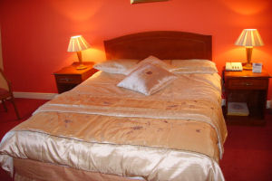 bedroom within the hotel