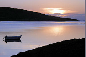 OceanVillas - Landscape