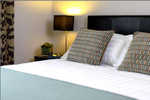 Silver Springs Moran Hotel - Double room