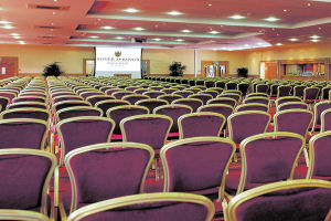 Silver Springs Moran Hotel - Conference