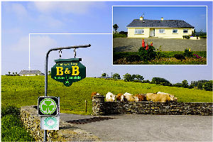 Coolbawn Lodge Farmhouse - Exterior