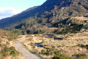 Kingfisher Lodge - Countryside