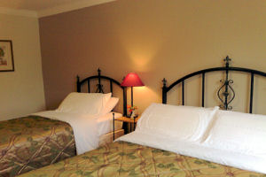 Kingfisher Lodge - Double and single room