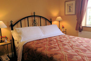 Kingfisher Lodge - Double room image 1
