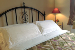 Kingfisher Lodge - Double room image 2