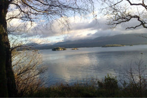 Kingfisher Lodge - Killarney lakes image 1