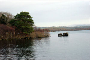 Kingfisher Lodge - Killarney lakes image 2