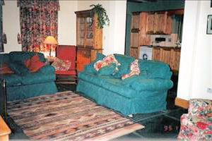 Raheen House - living - iws0068601