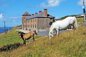 outsidewith horse and road 