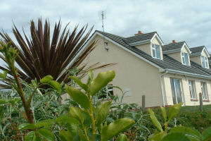 Acorn Cottage - Front