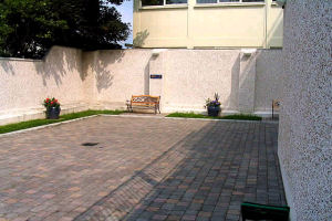 Patio/Garden Area