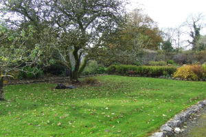 2 Raheen House - Garden_1