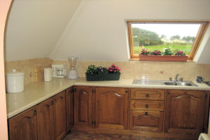 faherty SC - kitchen - iws0143001