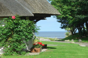 rosecottage-outside