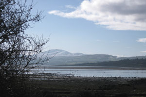 Rock Cottage SC-view